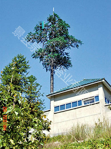 仿生樹通信塔-5.jpg