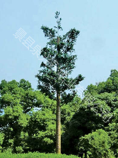 仿生樹通信塔-6.jpg